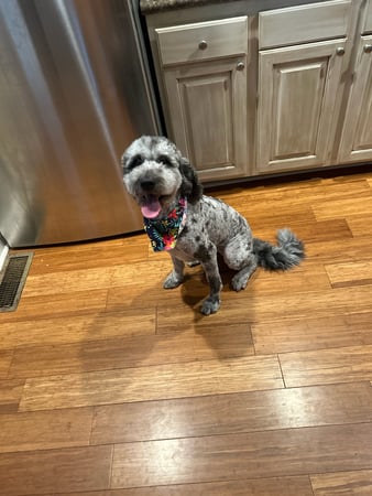 Images Michael Venable - State Farm Insurance Agent