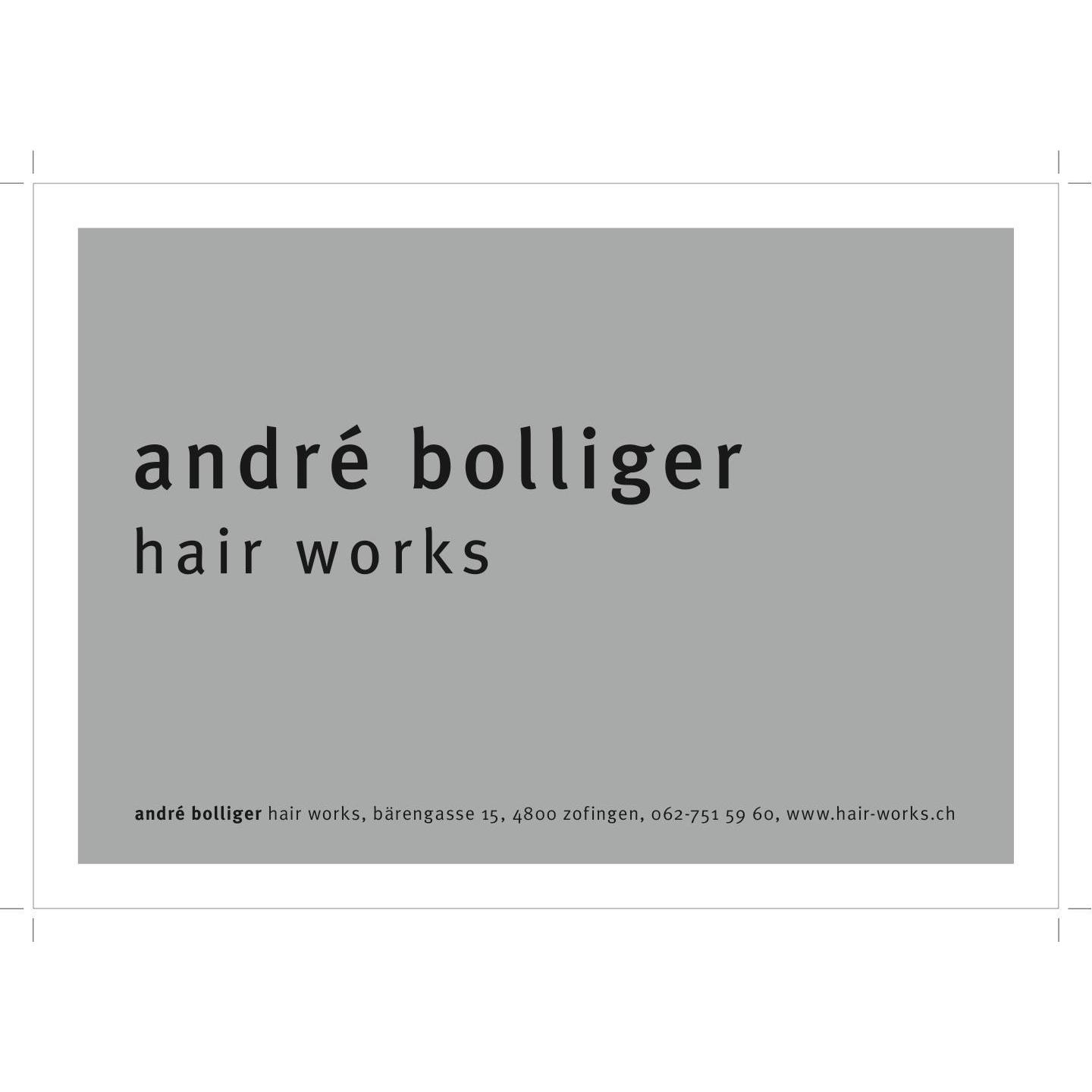andré bolliger hair works Logo