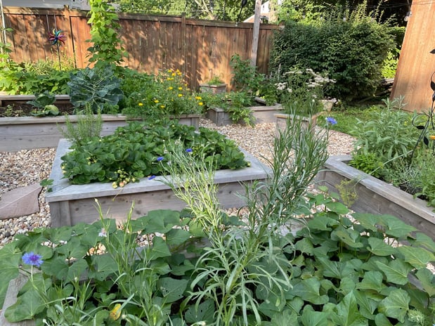 Images Edible Gardens Inc