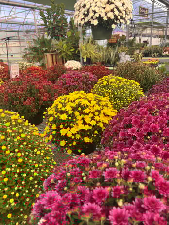 Images Grant Line Garden Center & Nursery