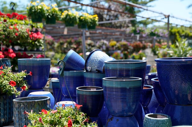 Images Mahoney's Garden Center