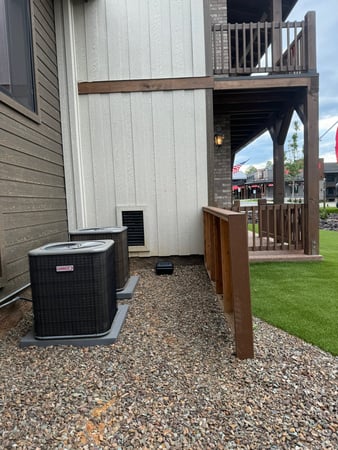Images Crandell Pest Control