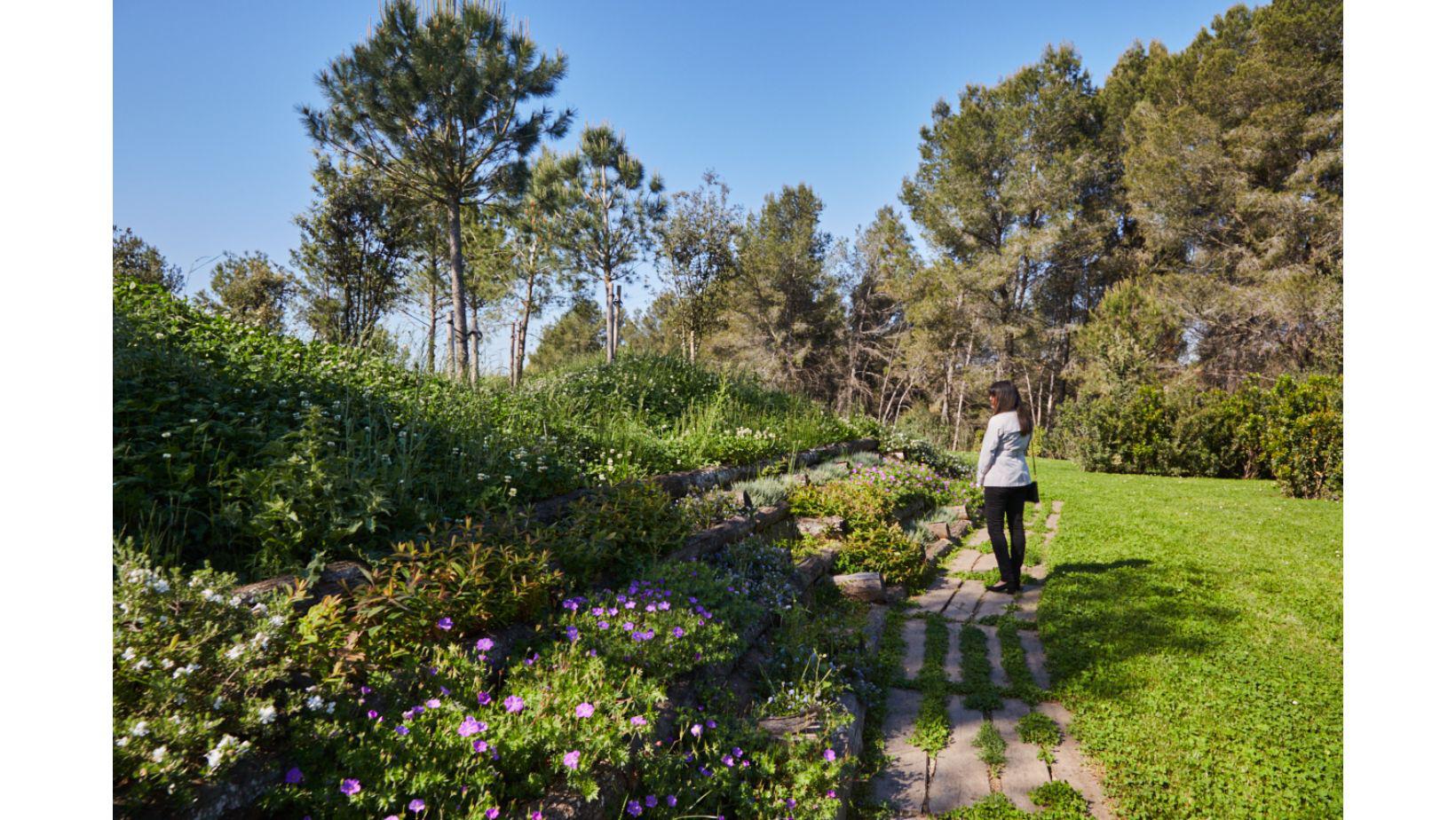 Cementiri Comarcal Roques Blanques 78