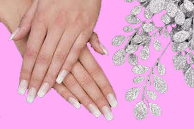 Images Artestetica Jeunesse