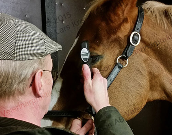 Images Veterinärpraktik Lars Kristiansson AB