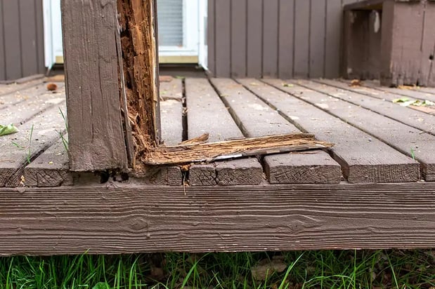 Images Buffalo Roofing & Exteriors