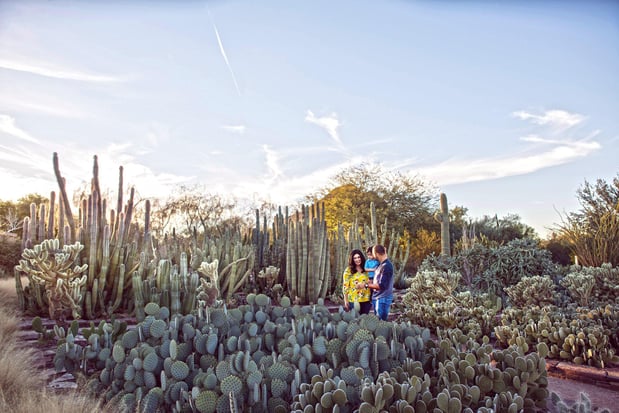 Images Holiday Inn Express & Suites Phoenix - Airport North by IHG