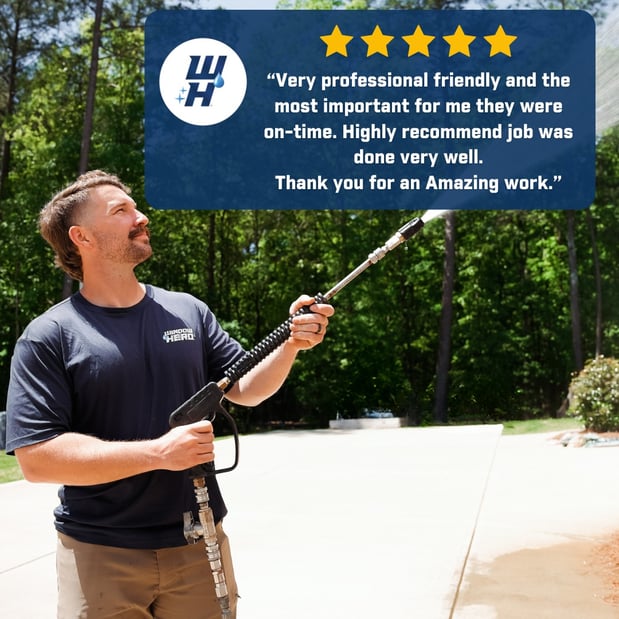 Images Window Hero Charlotte