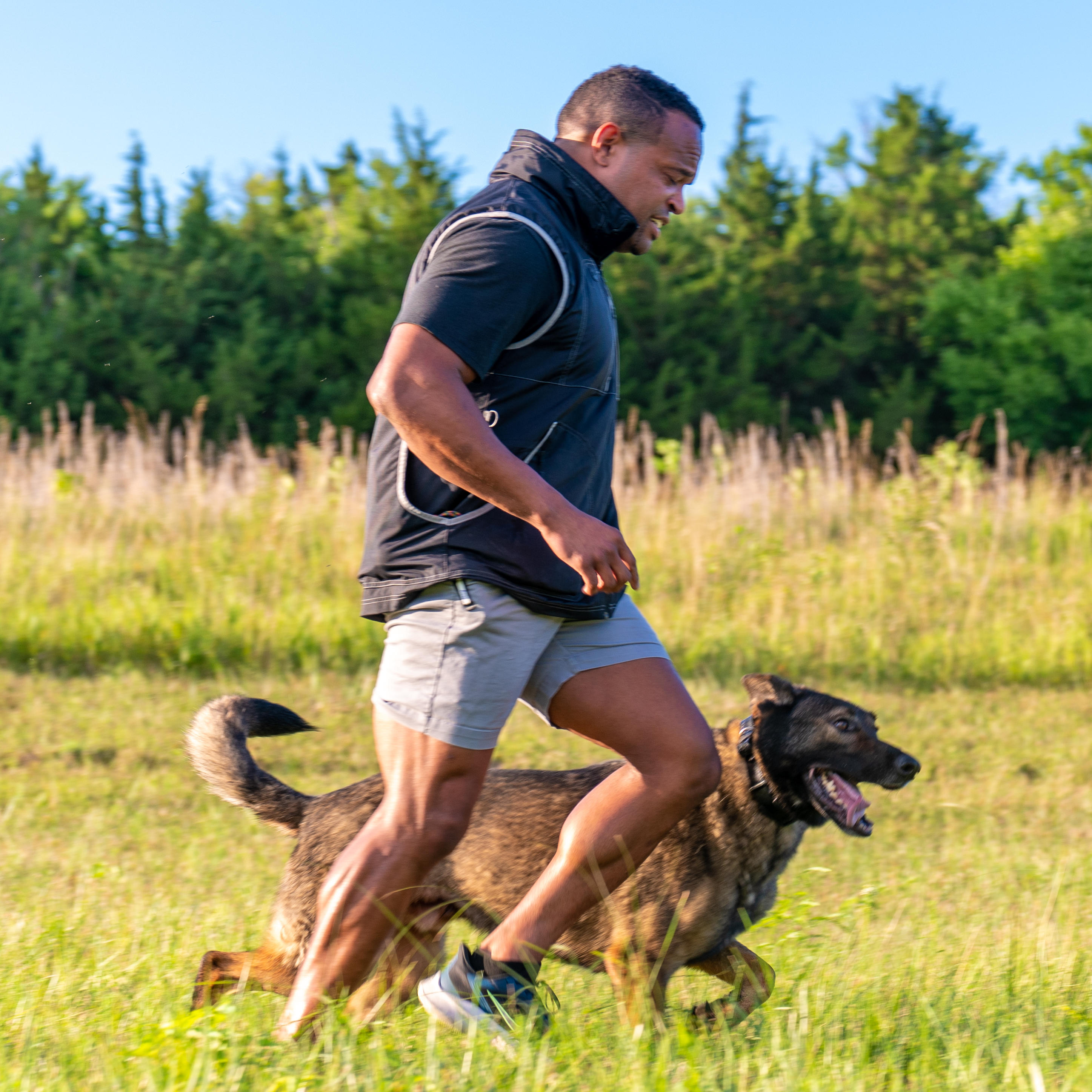 off-leash walking in a field with dog trainer