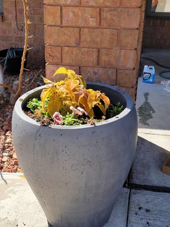 Images Stamm Romero & Associates