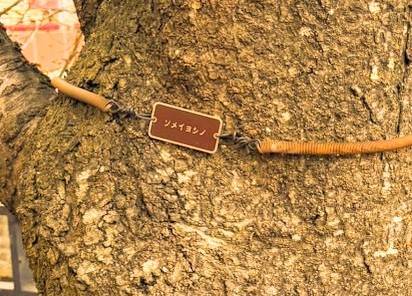 Images 横浜の大衆焼肉 弘明寺駅前店