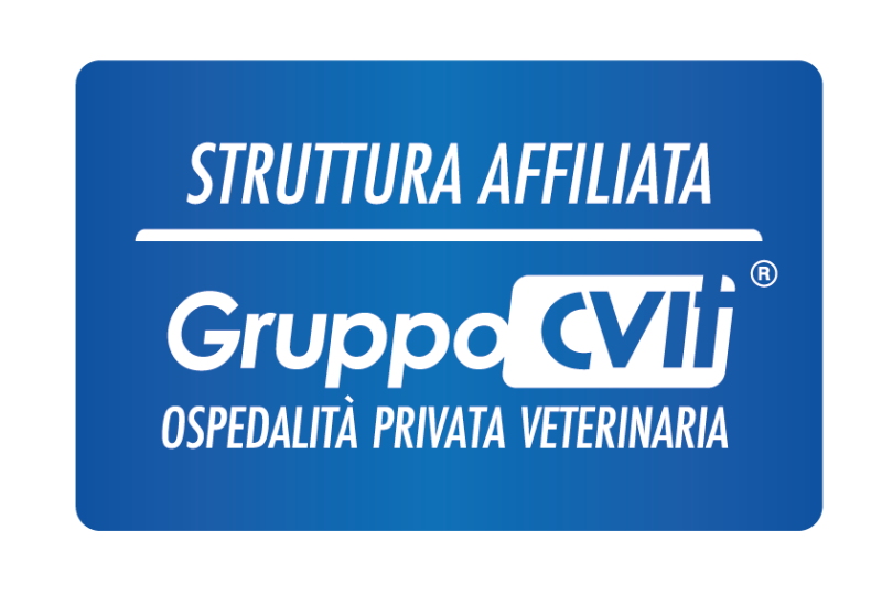 Images Ambulatorio Veterinario Associato Dott.ssa De Francesco e Dott. Gentile