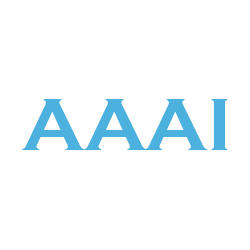 AAA ICE Logo