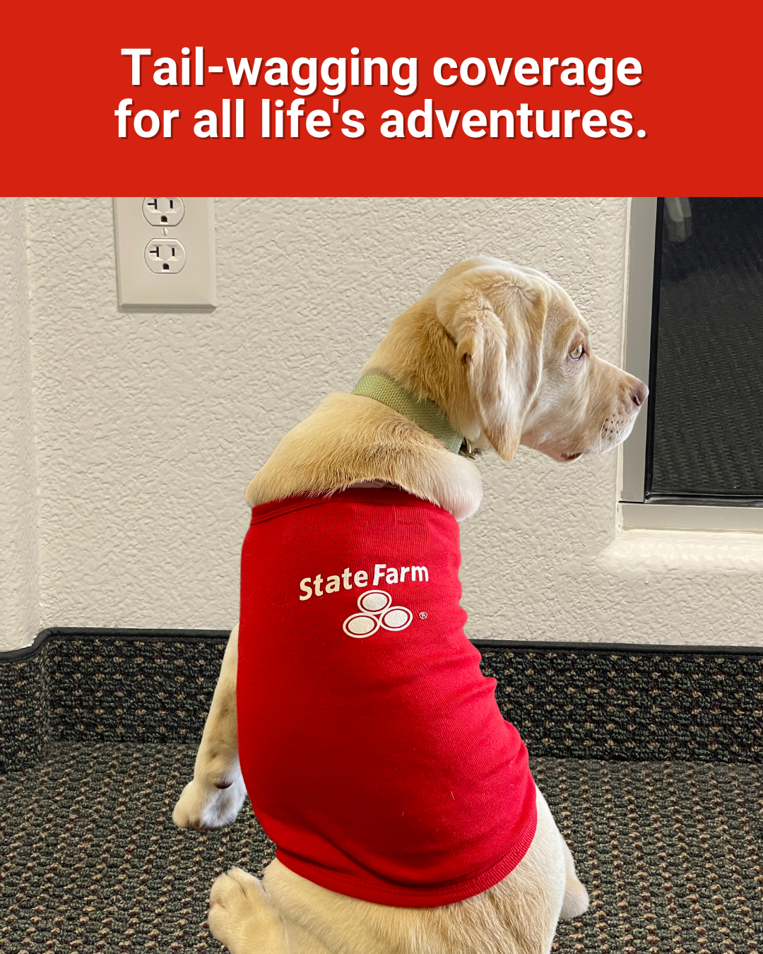 Tail-wagging coverage for all life's adventures. Aaron Slater Jr - State Farm Insurance Agent Columbia (240)755-0133