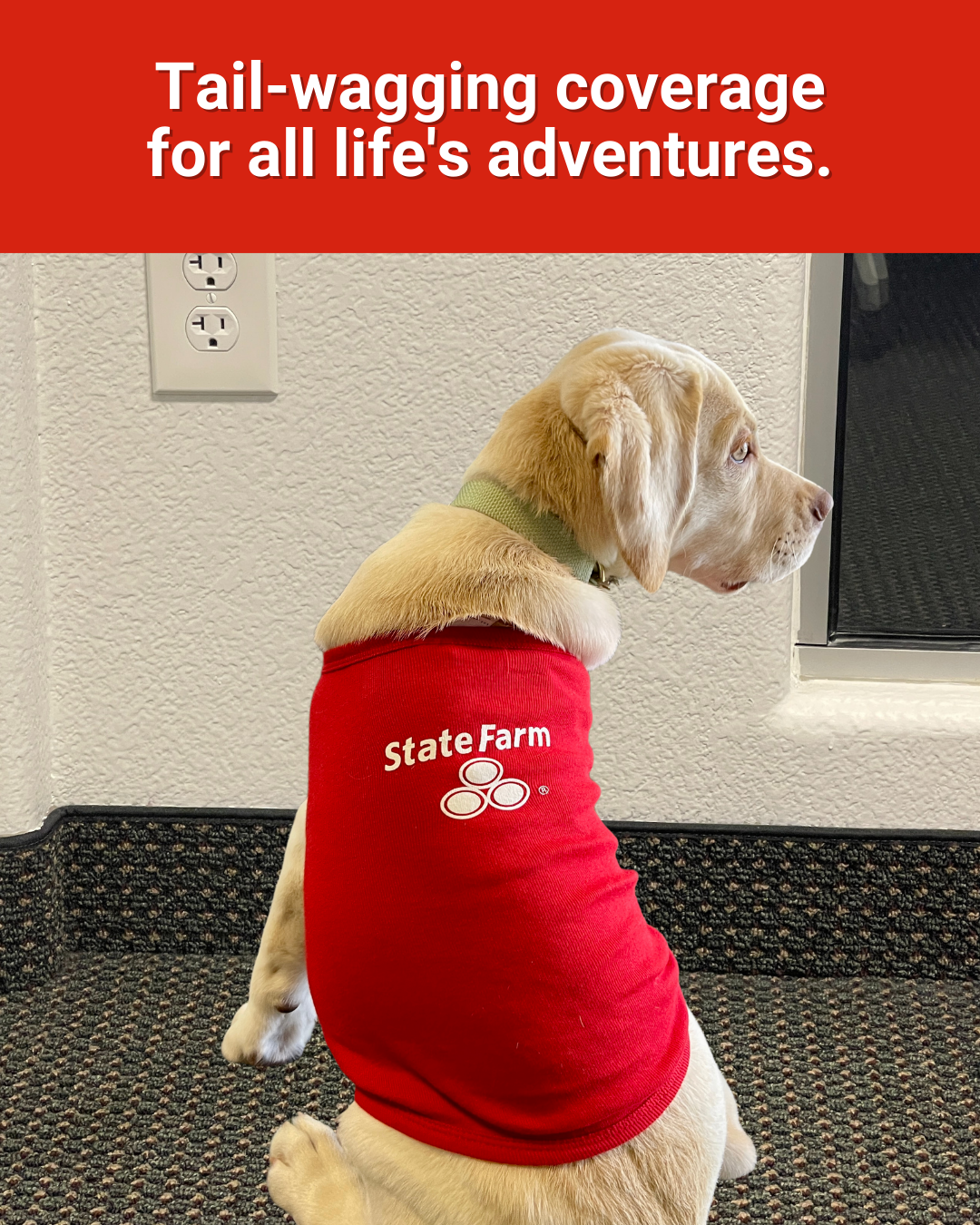 Bill Thorp - State Farm Insurance Agent