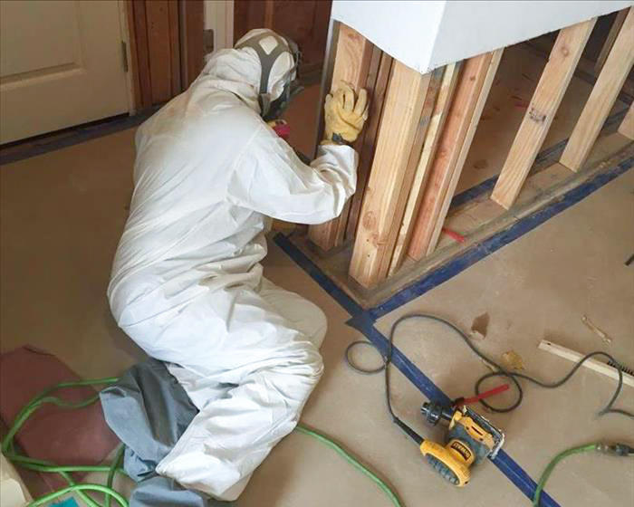 SERVPRO of Santa Barbara and SERVPRO of Santa Ynez / Goleta is  the premier choice in helping you with any mold restoration emergency. We are highly trained and qualified to respond to any size  mold remediation emergency or cleaning services. Call us!