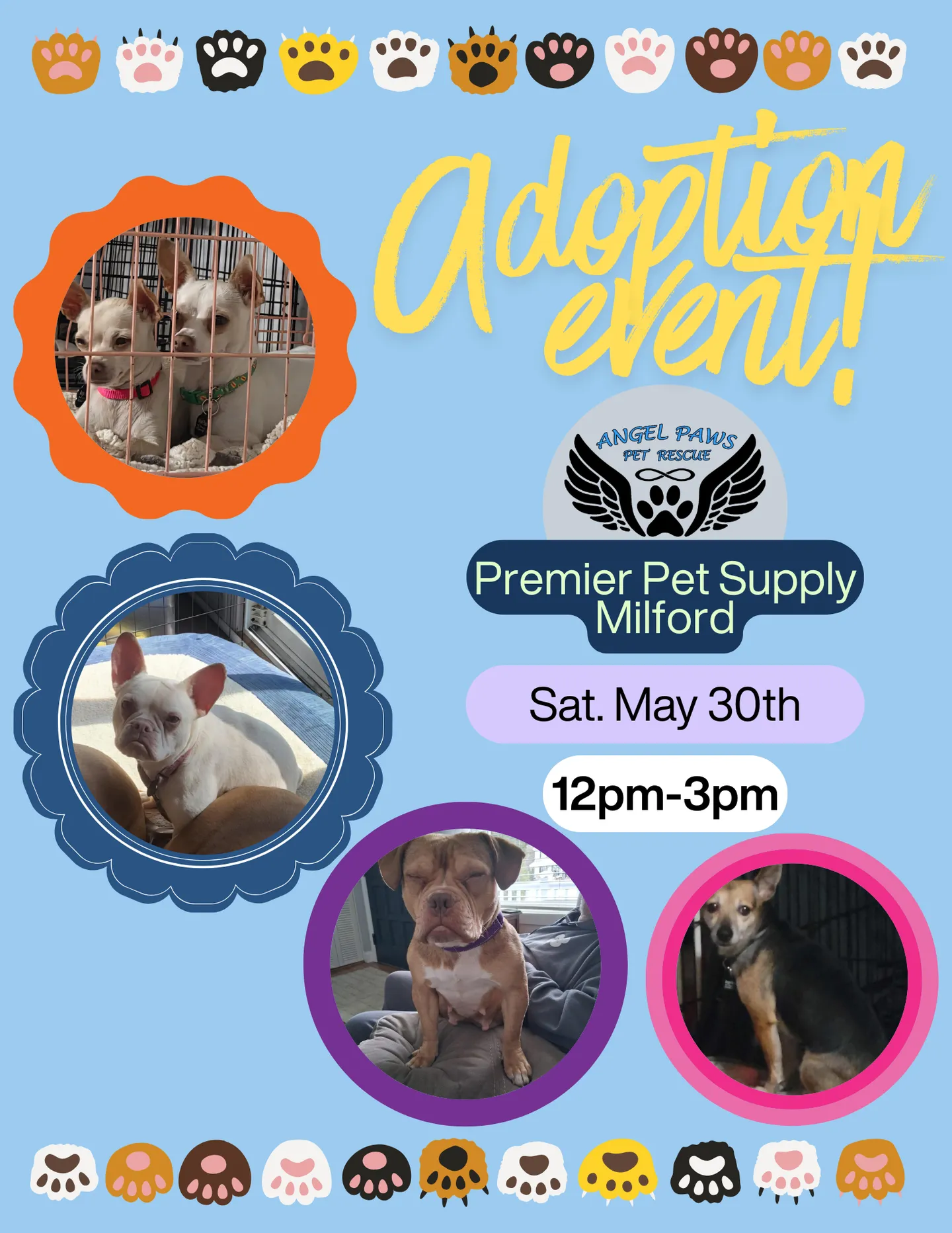 Image of Local Pet Event ANGEL PAWS PET RESCUE ADOPTION EVENT | MILFORD Nearby