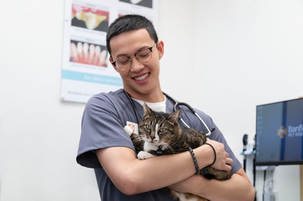 Images Banfield Pet Hospital