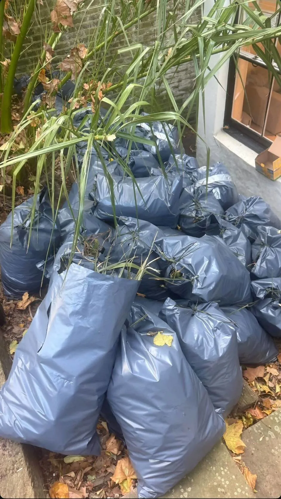 Images Bincredible Waste Solutions Ltd