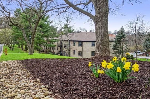 Images Williamsburg South