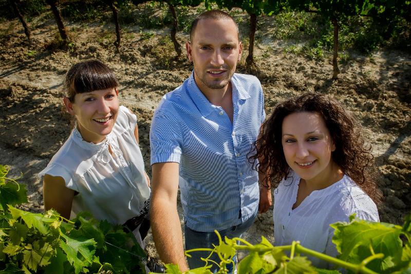 Images Azienda Agricola Franco Pacenti