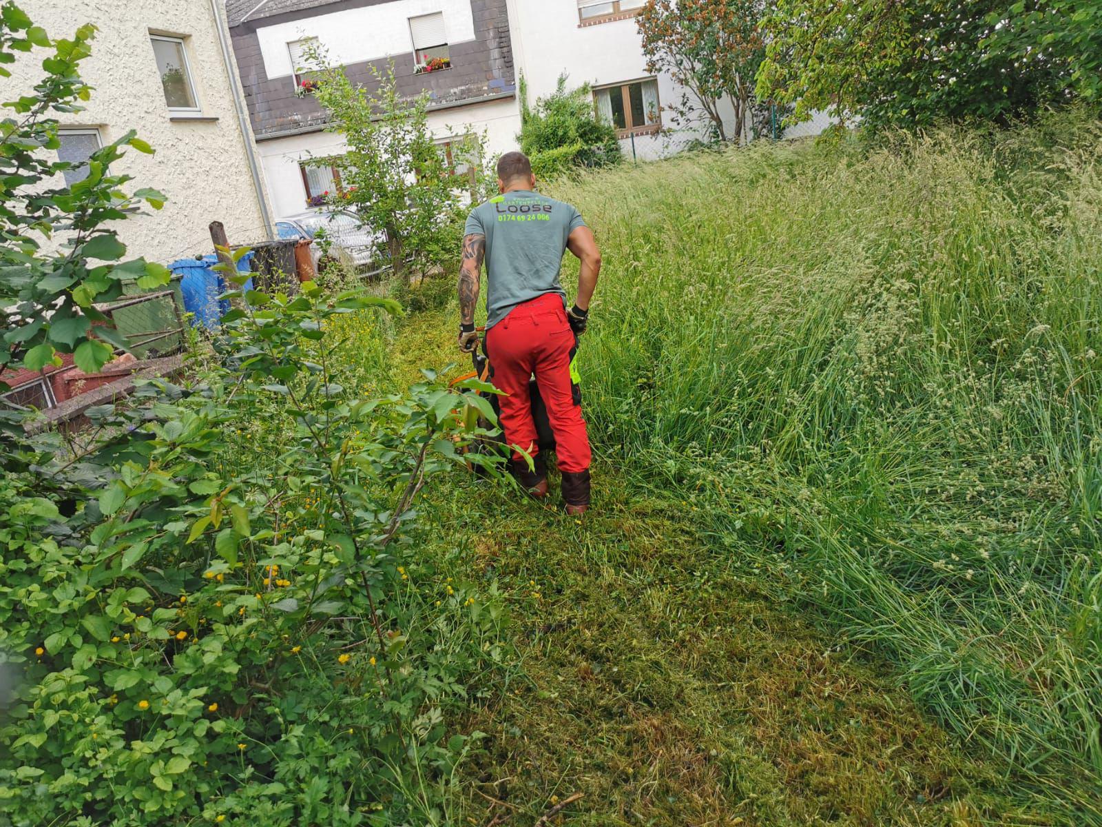 Baum- & Gartenpflege Loose in Melsbach