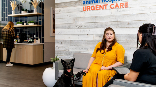 Images VCA Animal Hospitals Urgent Care - Cypress Creek - CLOSED