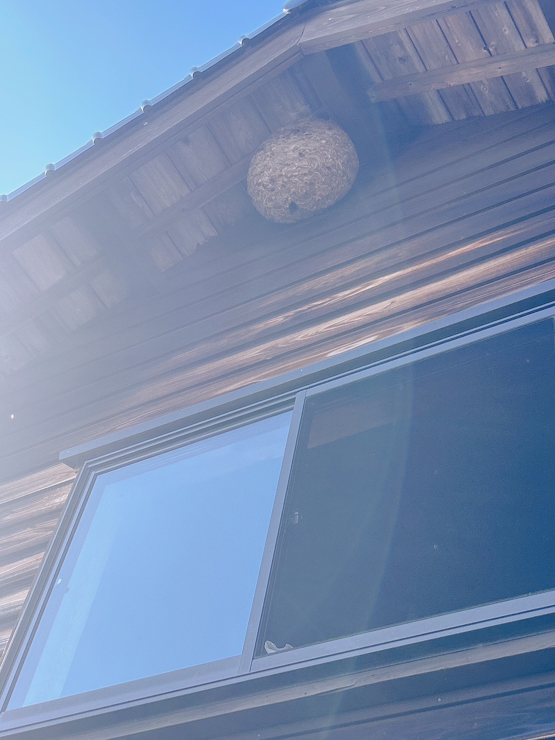 Images 富山安心駆除サービス