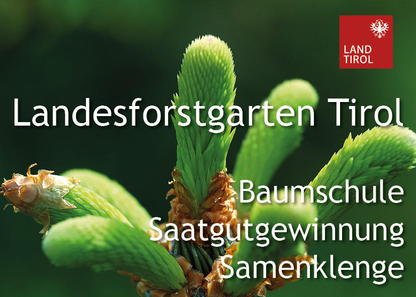 Bilder Tiroler Landesforstgarten - Nikolsdorf