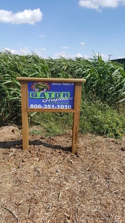 Images Gator Graphics