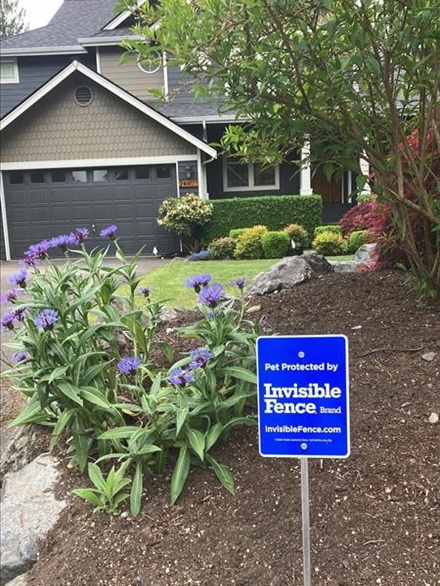 Home installed with invisible fence in Sammamish, WA