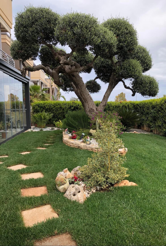 Images Giardinaggio | manutenzione del verde in provincia di Brindisi Sole Verde