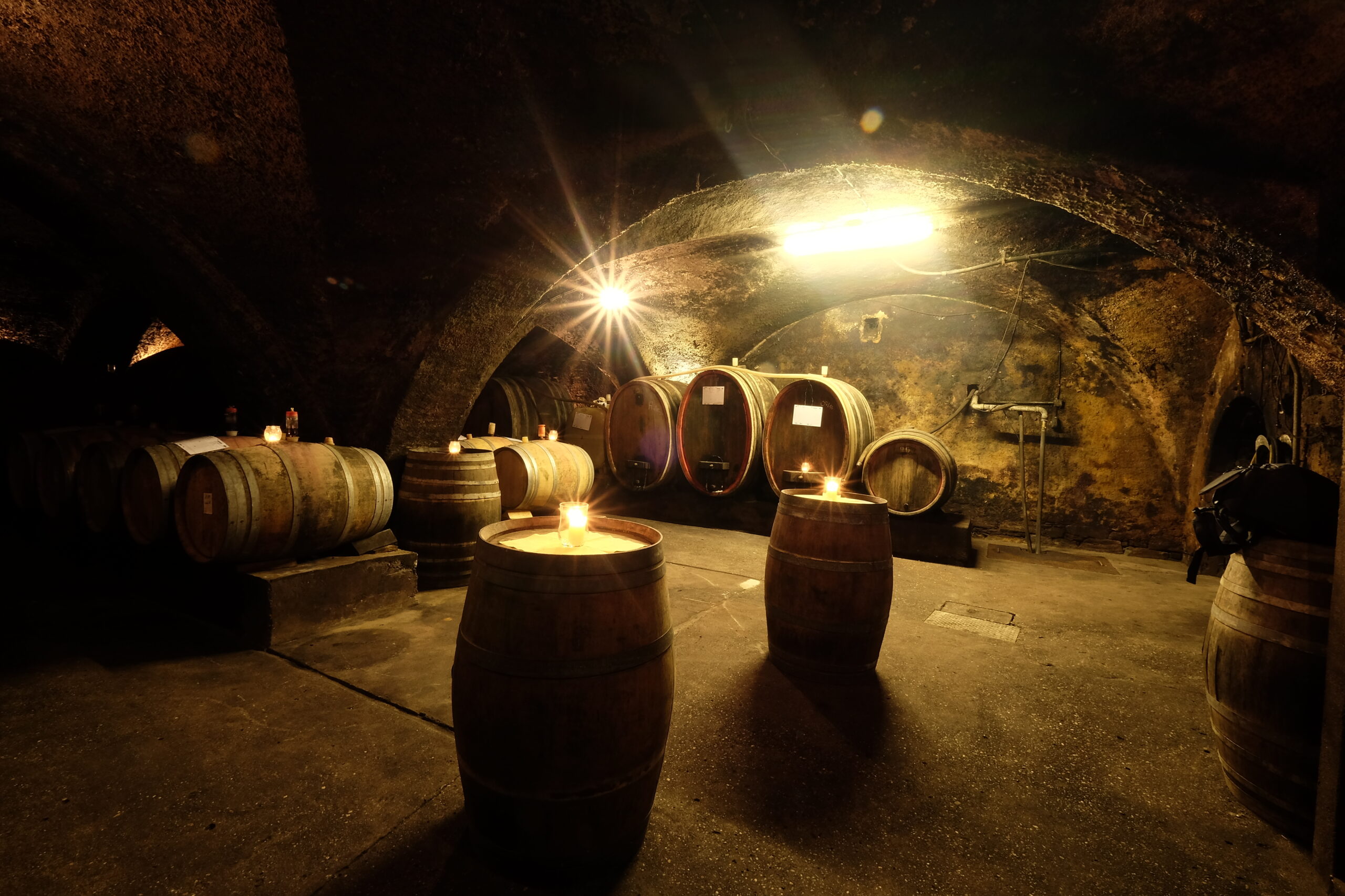 Bild 1 Weingut Sohlbach in Kiedrich