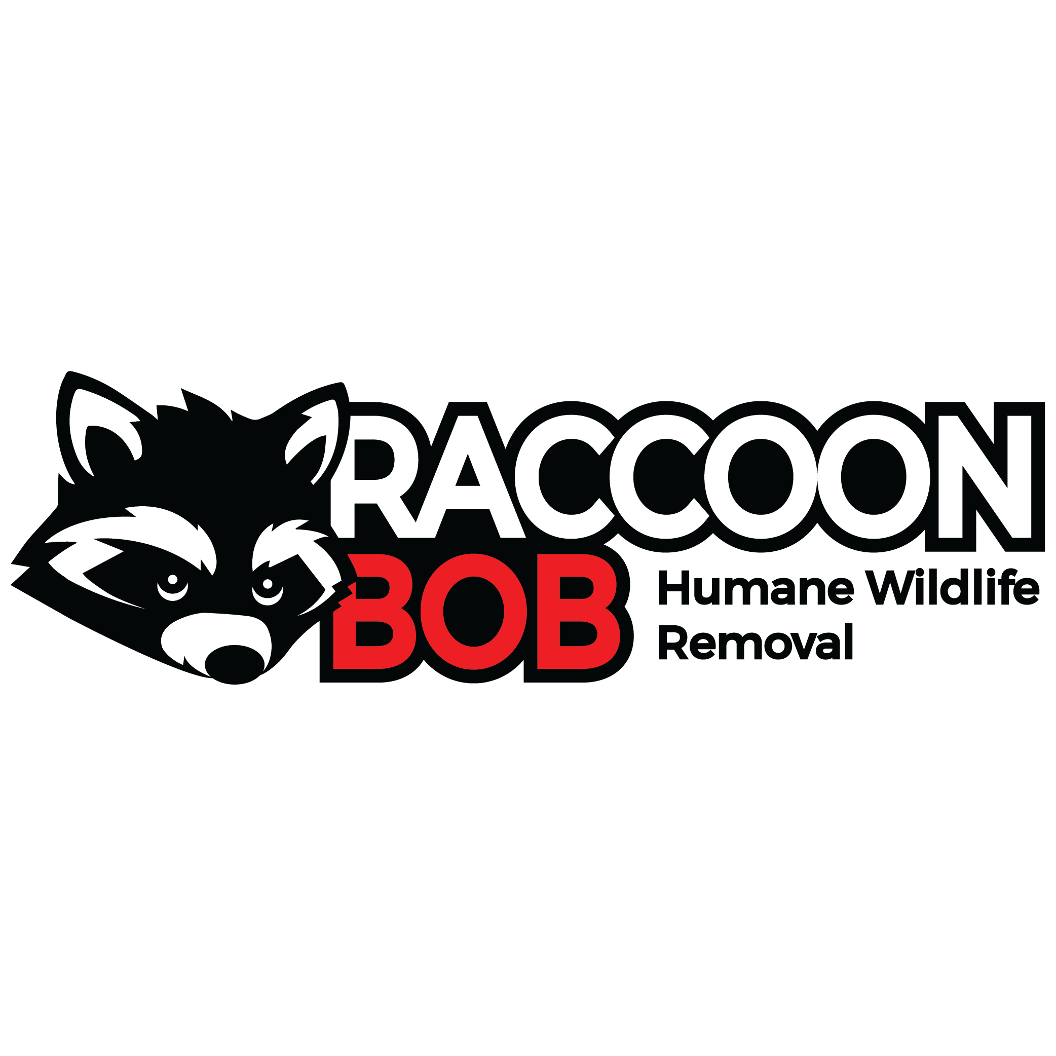 Raccoon Bob - Garland, TX 75040 - (214)546-6539 | ShowMeLocal.com