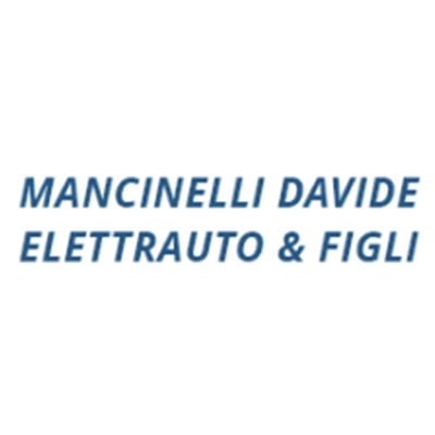 Mancinelli Davide Elettrauto & Figli Logo