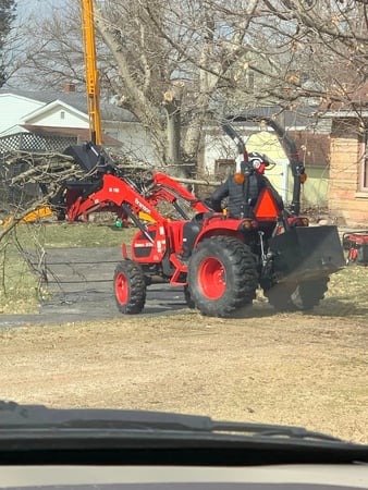 Images Paul's Tree Service