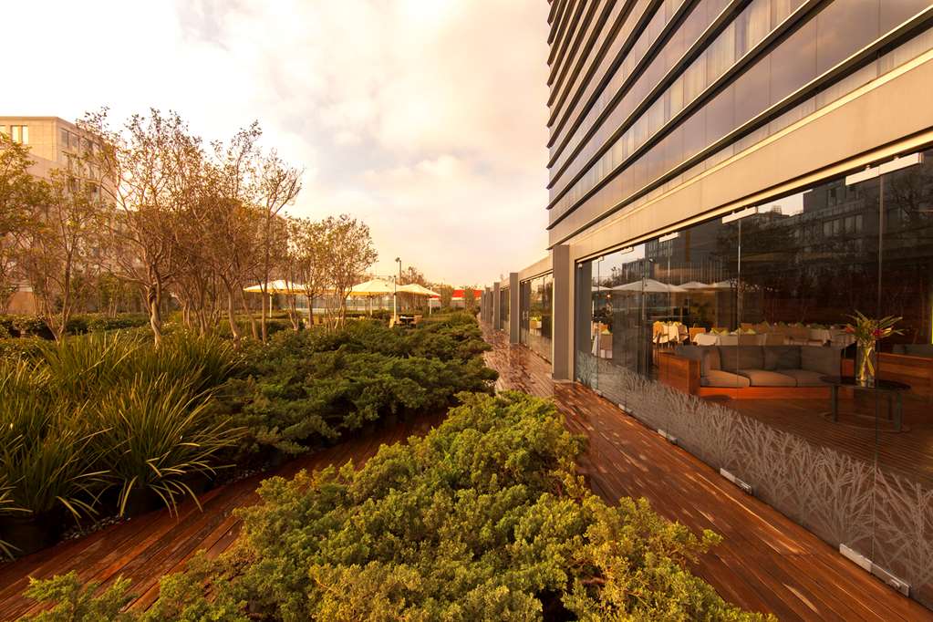 Images Hilton Mexico City Reforma