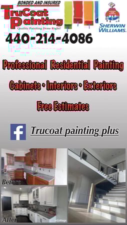Images Trucoat Painting Plus