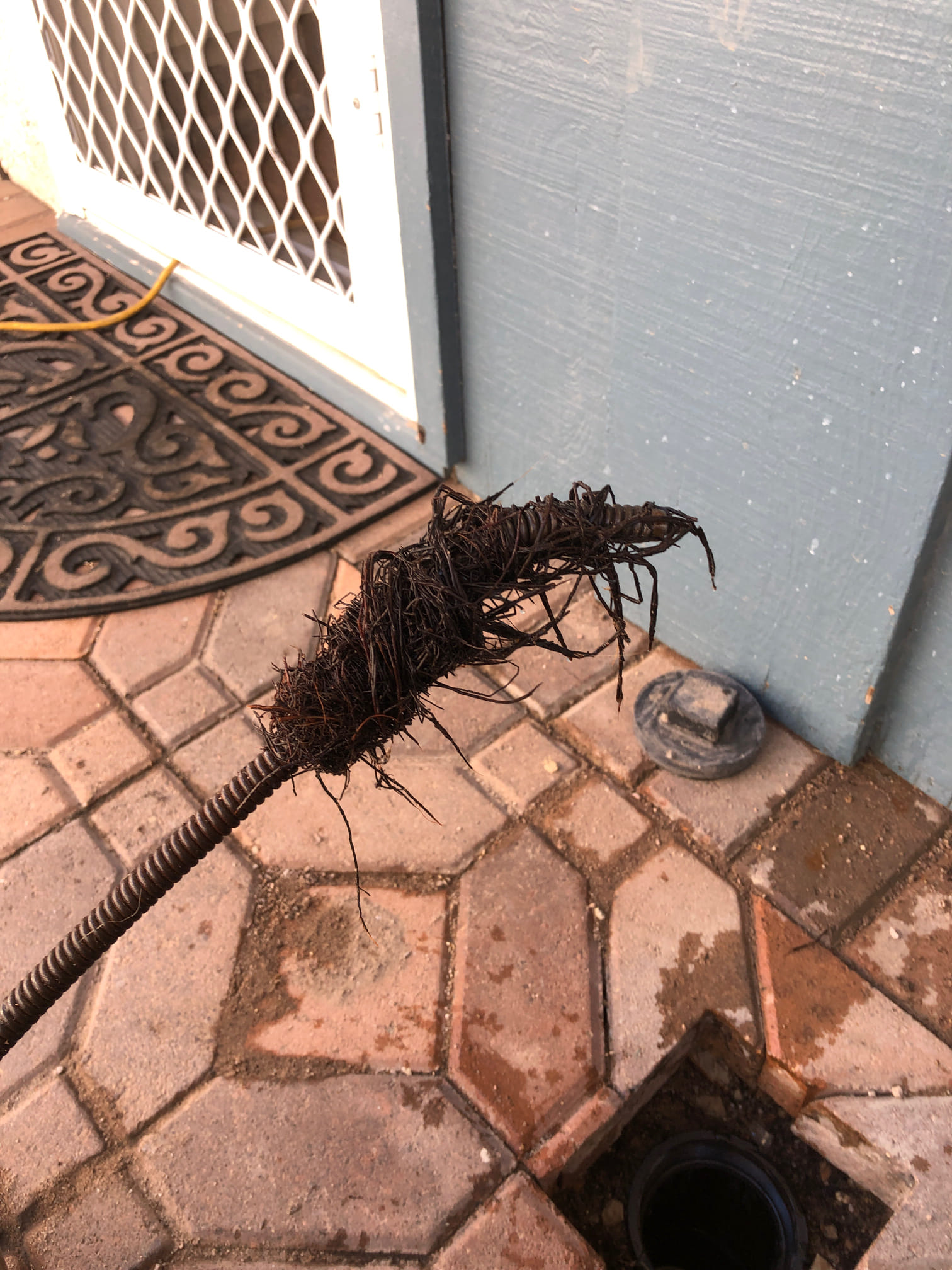 Team Rooter Plumbing - San Diego Image