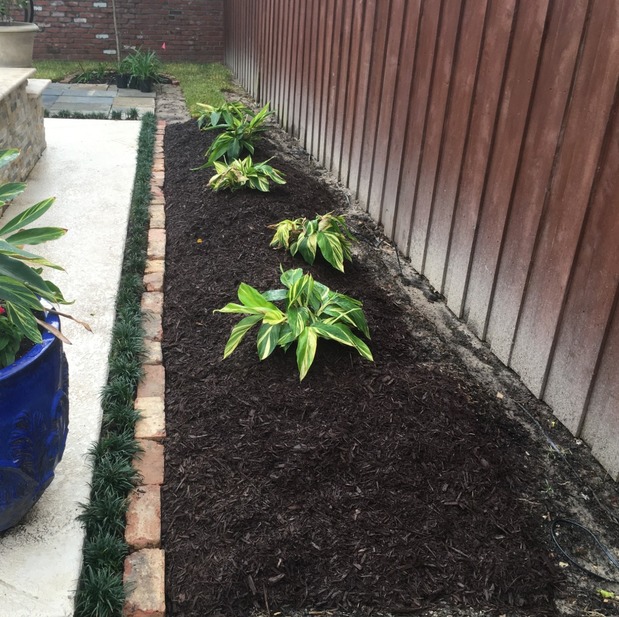 Images II Guys Landscaping