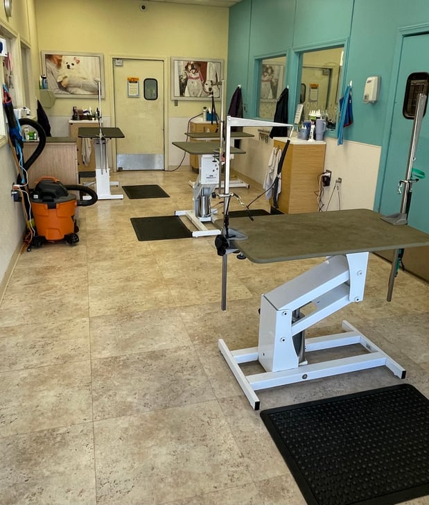 Images Petco Grooming