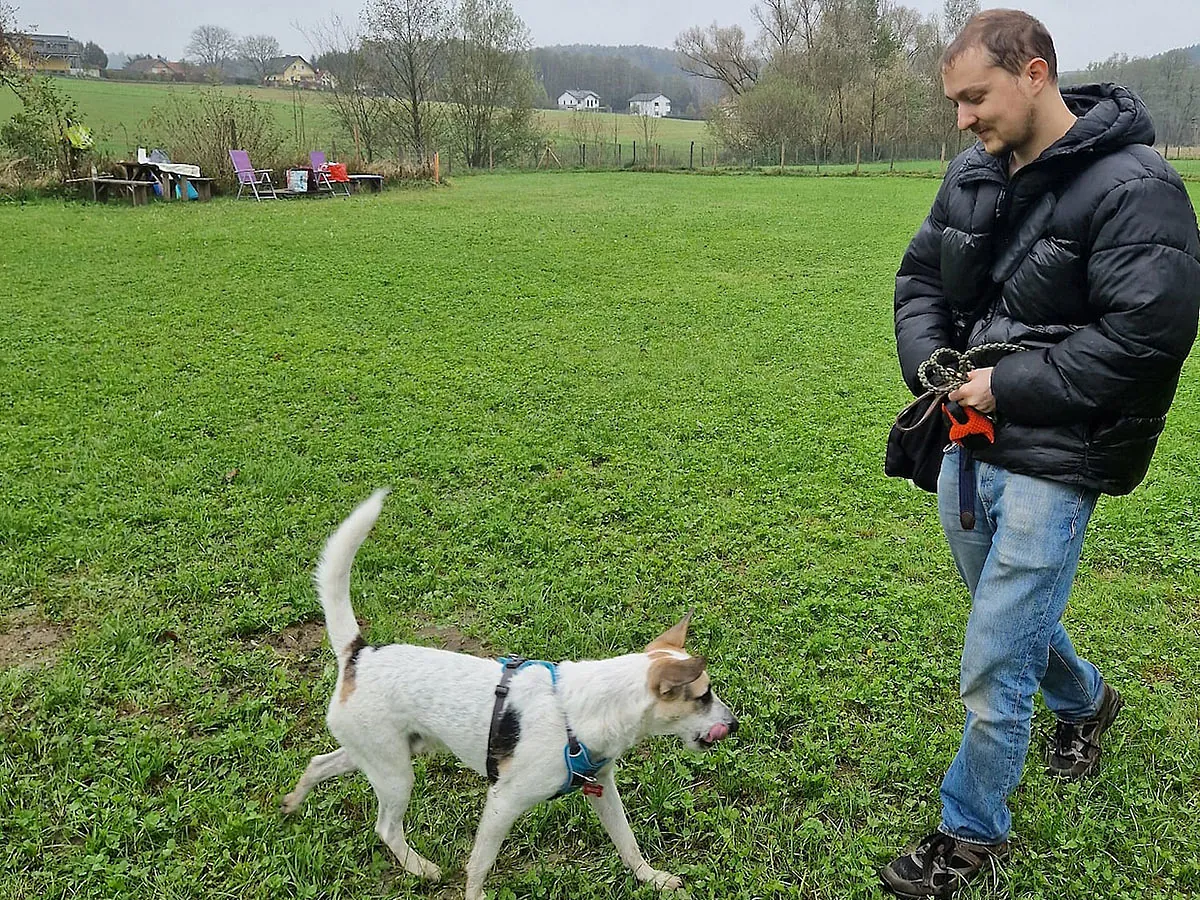 Bild 1 von KED Dogtraining
