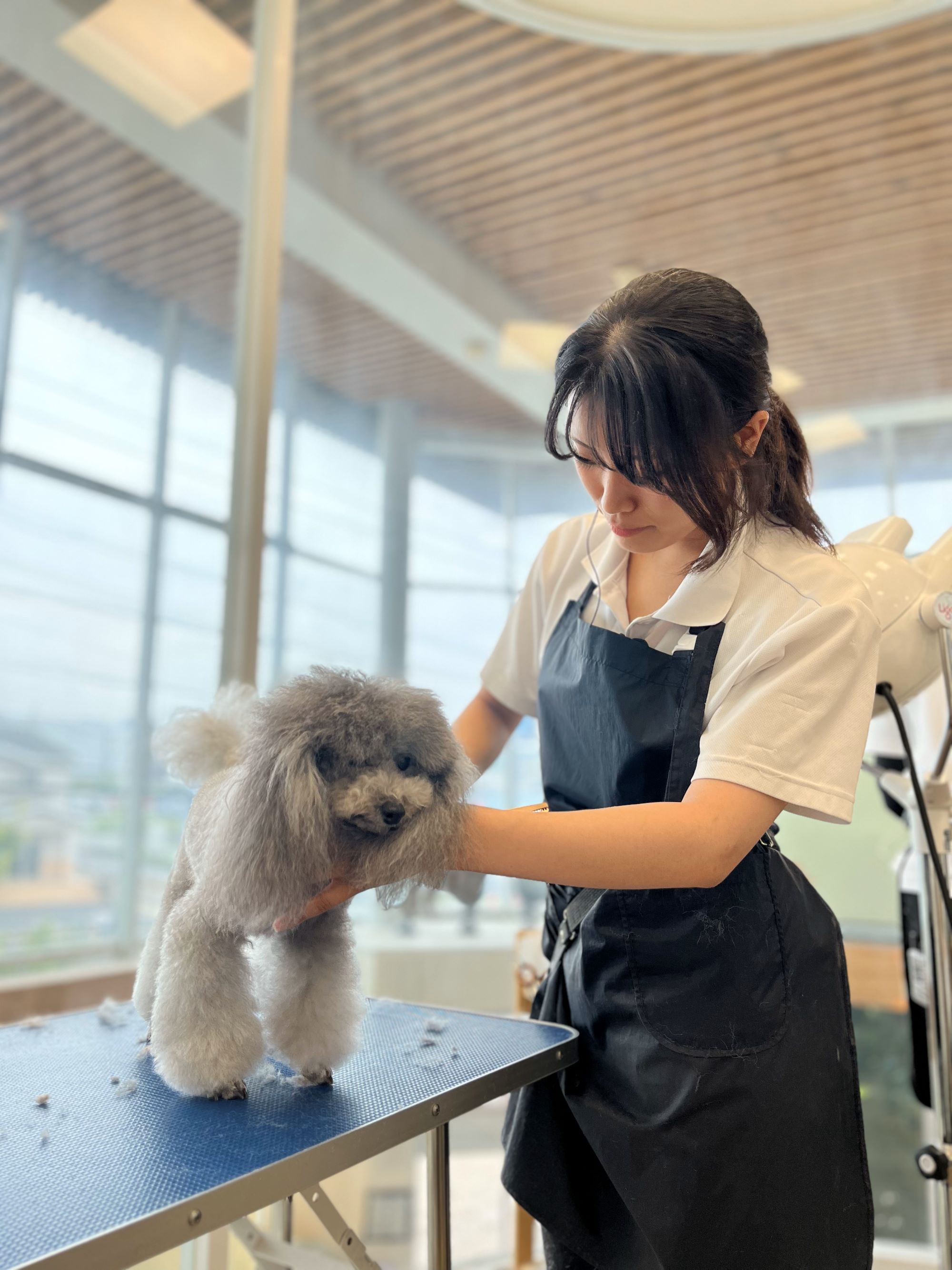 Images 動物医療センター もりやま犬と猫の病院