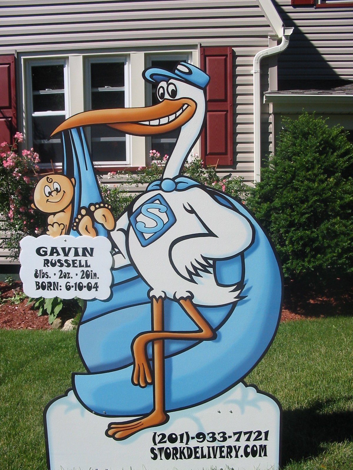 Storkdelivery.Com - Birth Announcements