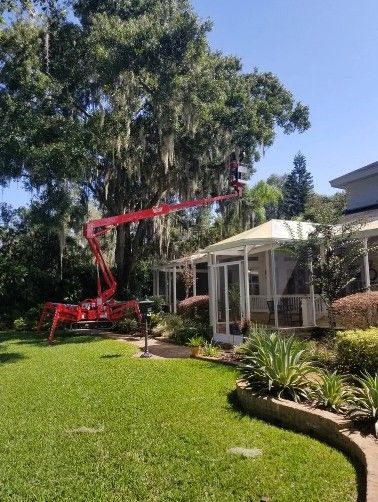Valid Impressions Tree Service LLC Image