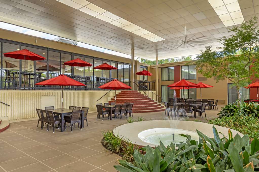Outdoor Patio