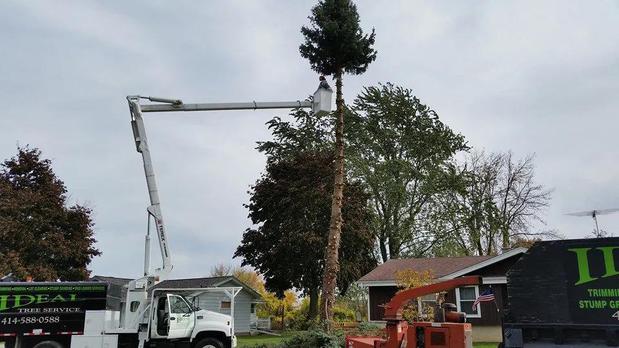 Images Ideal Tree Service LLC.