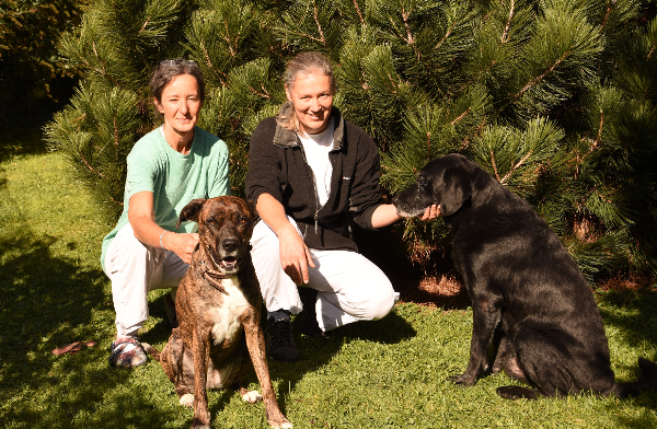 Dr. med. vet. Roswitha Hofmann, Andechsstraße 48/8 in Innsbruck