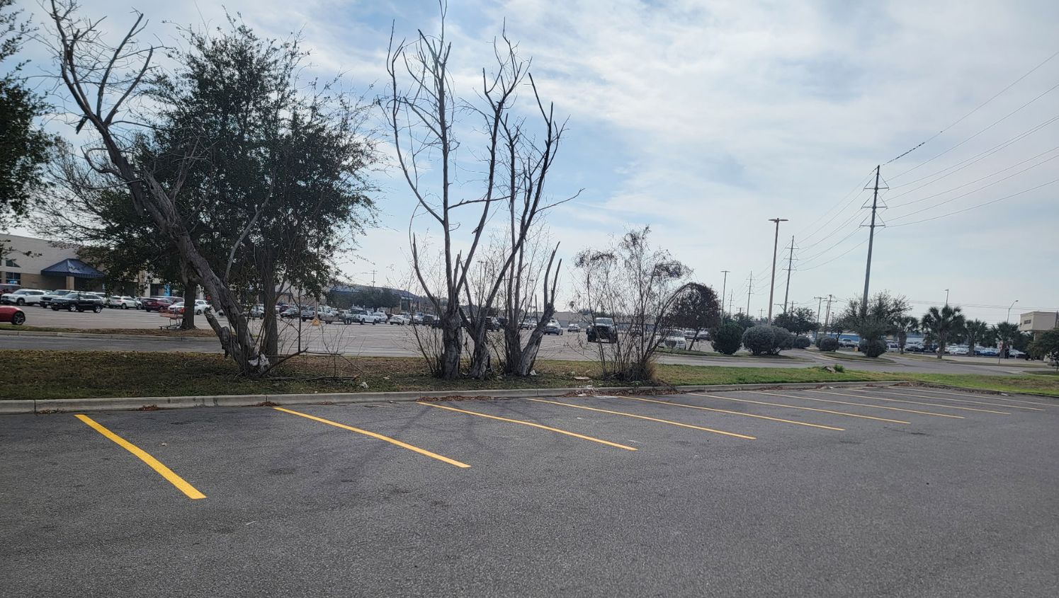 G-FORCE Parking Lot Striping of San Antonio Image