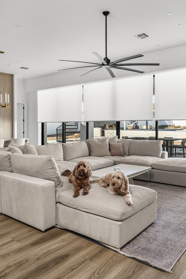 Looking for the perfect balance of style and functionality? We&rsquo;ve got you covered! Not only do these chic automated roller shades add an elevated feel to this modern local living space, but they also can be controlled from anywhere in your home.